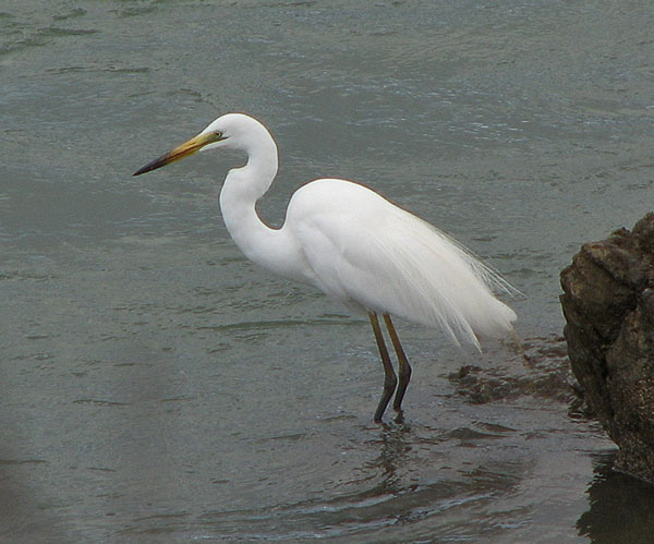greategret