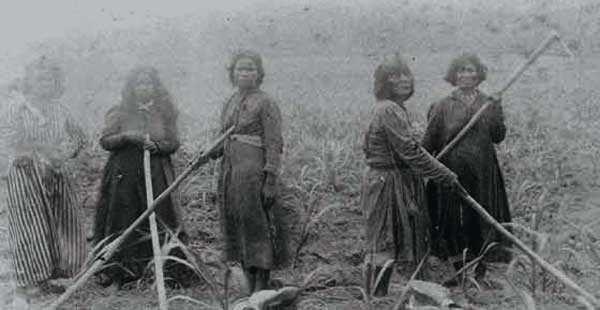 5 women