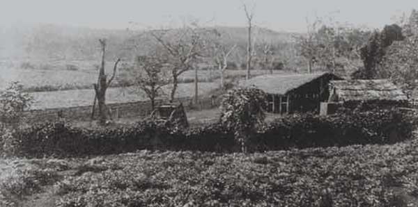 mill gardens