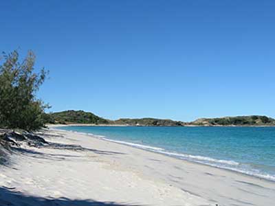 monkey beach 400x300