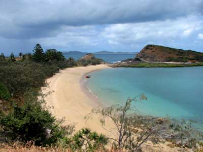 pumpkin island