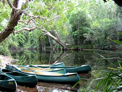 canoesx400