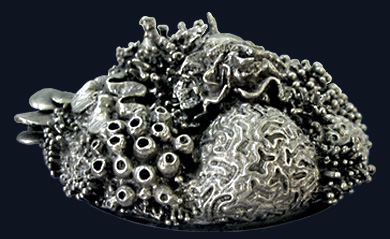 reef3