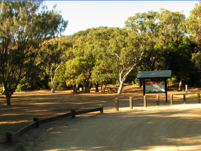 bluff pointpicnic