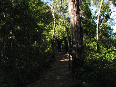 bluff pointtrack1