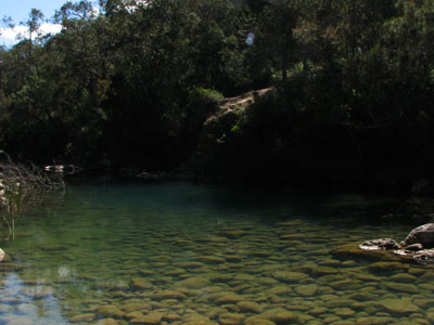 upper stony creek