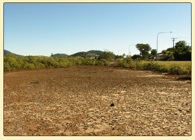 manenvsaltpan